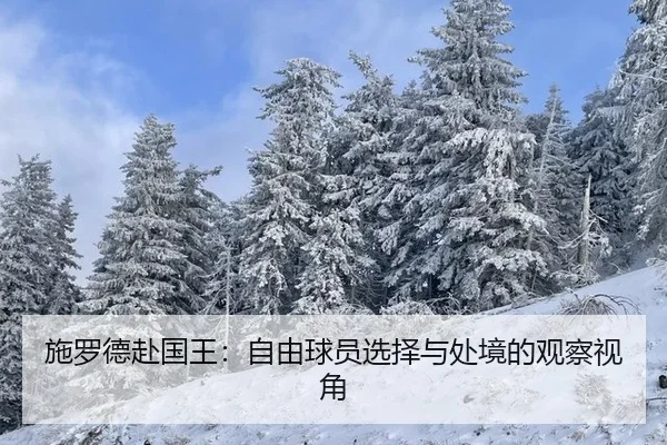 shi-luo-de-fu-guo-wang-zi-you-qiu-yuan-xuan-ze-yu-chu-jing-de-guan-cha-shi-jiao-2-121.jpg